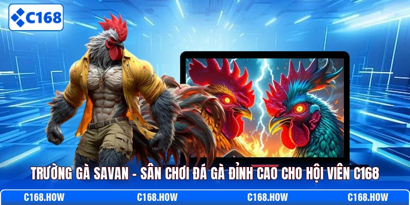Trường kê chiến Savan mang tới mức trả thưởng cao cho hội viên